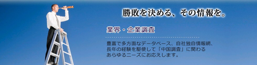 中国企業・産業調査